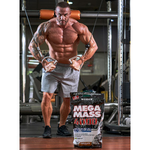 Weider Mega Mass 4000, 75 g chocolate 