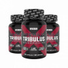 Weider Premium Tribulus, 3x90 kapsula 