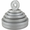 Gorilla Sports 2x10 kg set utega za jednu ruku - od lijevanog željeza 30/31 mm 