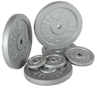 Gorilla Sports set od diskova od lijevanog željeza 30 KG (2x15 KG) / 31mm