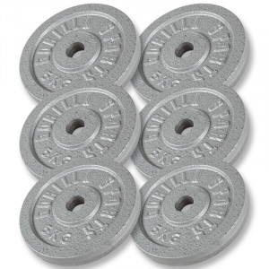 Gorilla Sports set diskova od lijevanog željeza 30 KG (6x5 kg) / 31mm siva SET 30KG (6x5kg) 