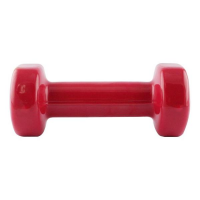 HMS Bučica od lijevanog željeza presvučena vinilom 2 kg HMS Bučica od lijevanog željeza presvučena vinilom 2 kg