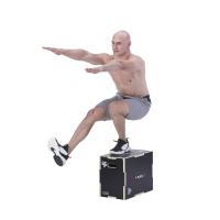 HMS Plyo Box DSC03 HMS Plyo Box DSC03