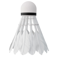 HMS Feather badminton loptice NILS NBL6206 6 kom HMS Feather badminton loptice NILS NBL6206 6 kom