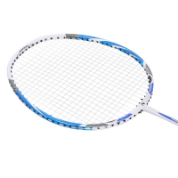 HMS reket za badminton NILS NR406