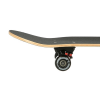 HMS Skateboard NILS Extreme CR3108 Beauty 