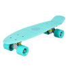 HMS PennyBoard NILS Extreme Classic zelena 