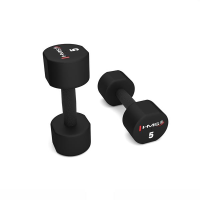 HMS 2x5kg HPT bučice 