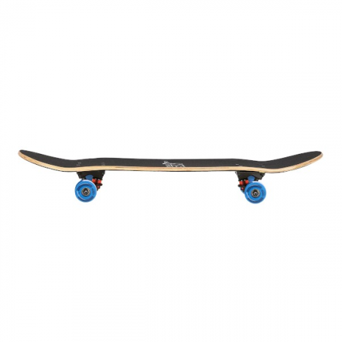 HMS Skateboard NILS Extreme CR3108 SA Greška 