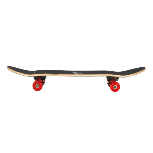 HMS Skateboard NILS Extreme CR3108 SA Aztec HMS Skateboard NILS Extreme CR3108 SA Aztec