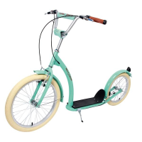 Skuter s pumpama s NILS Extreme WH222 mentolom 