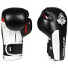 Boxerské rukavice DBX BUSHIDO B-3W 14oz. Boxerské rukavice DBX BUSHIDO B-3W 14oz.