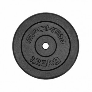 Spokey SINIS Disk od lijevanog željeza, 29 mm, 1,25 kg 